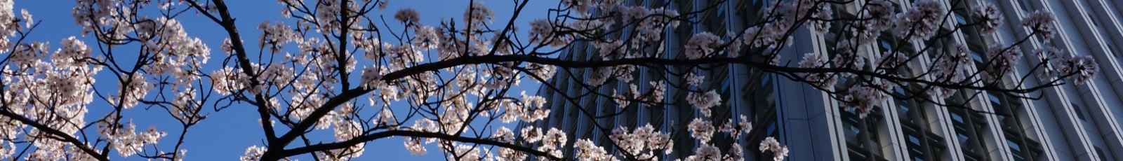 NSK中國官網Banner